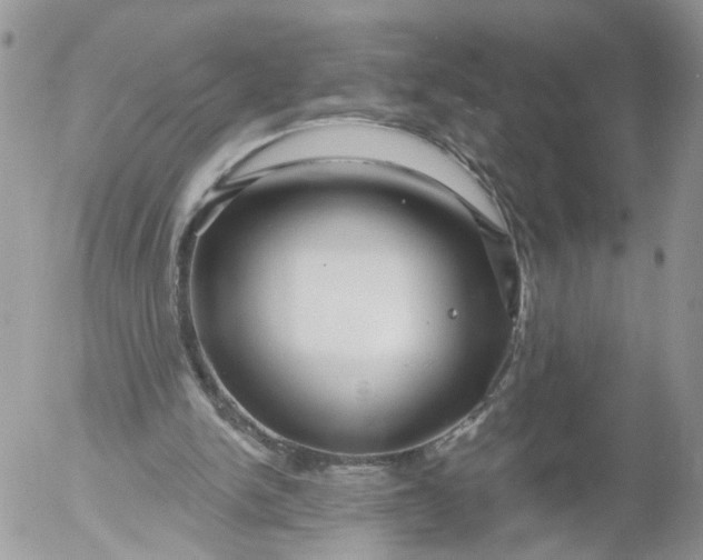 X0000053120150200508012200