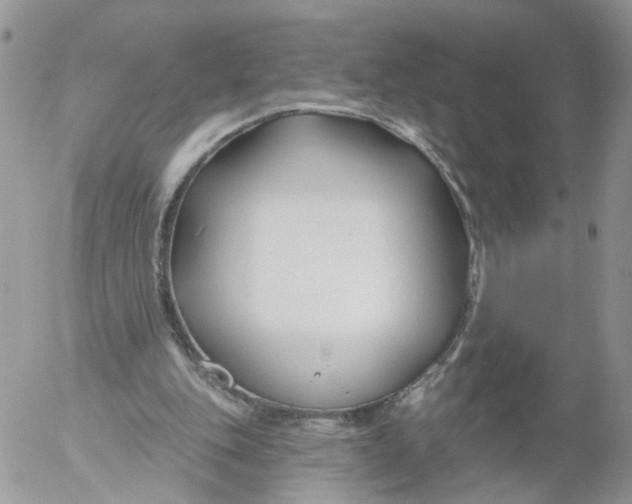 X0000053120151200508012200