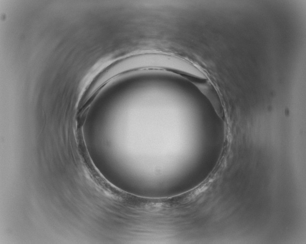 X0000053120152200508012200