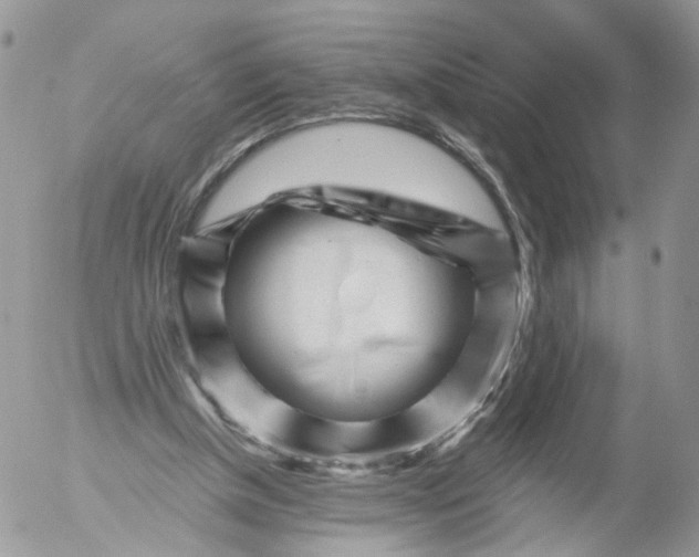 X0000053120154200508012200