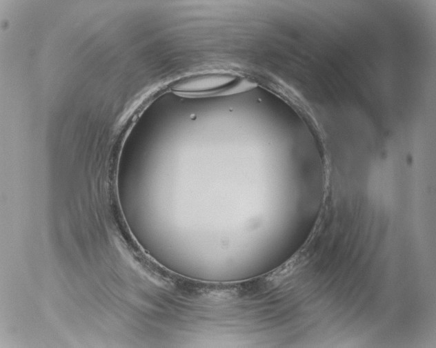 X0000053120155200508012200