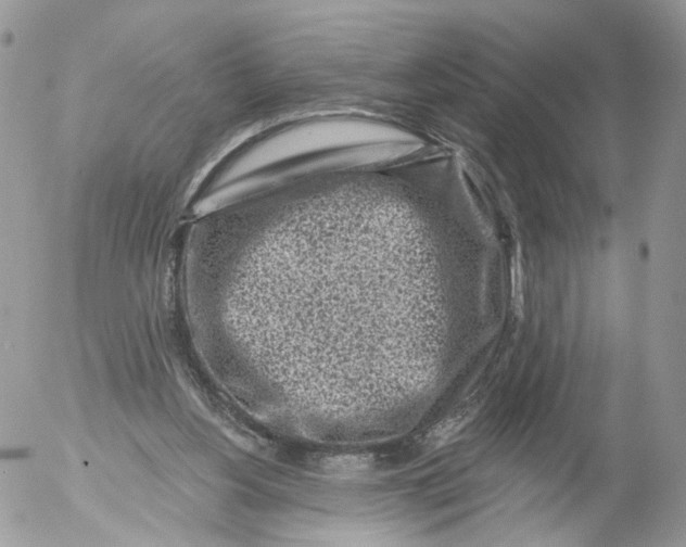 X0000053120156200508012200