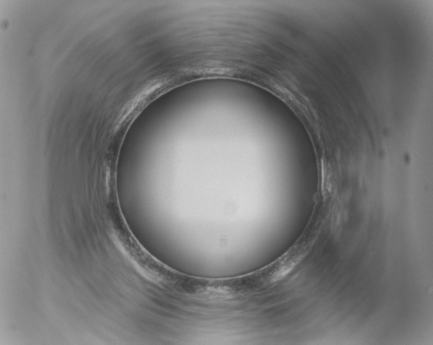 X0000053120157200508012200