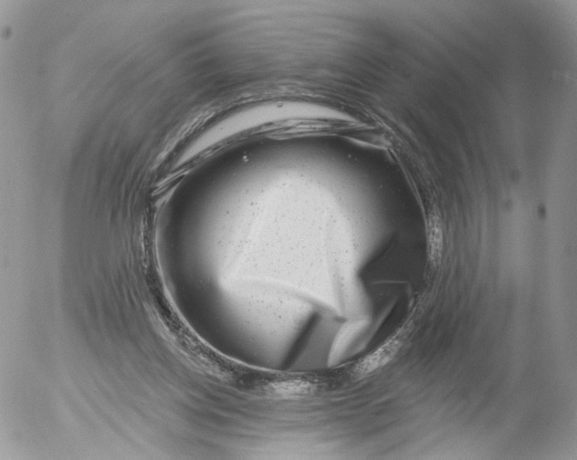 X0000053120158200508012200