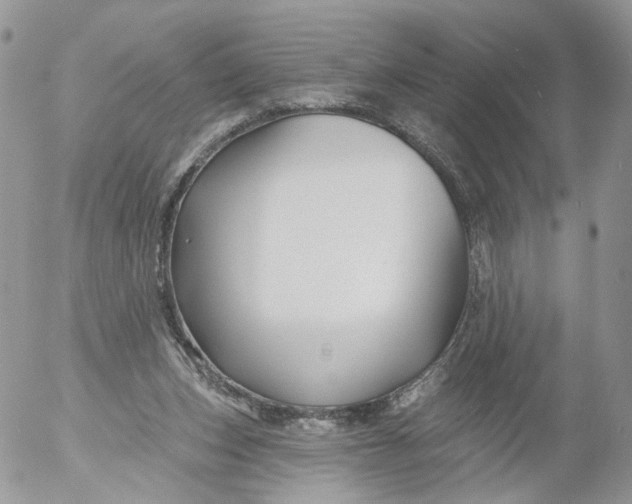 X0000053120159200508012200