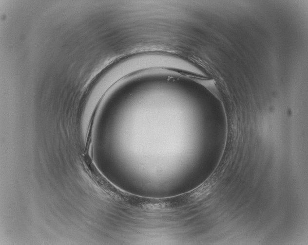 X0000053120160200508012200