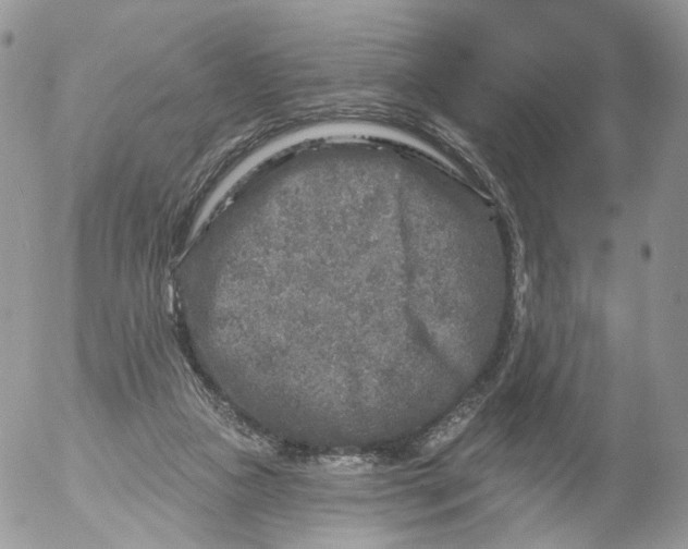 X0000053120161200508012200