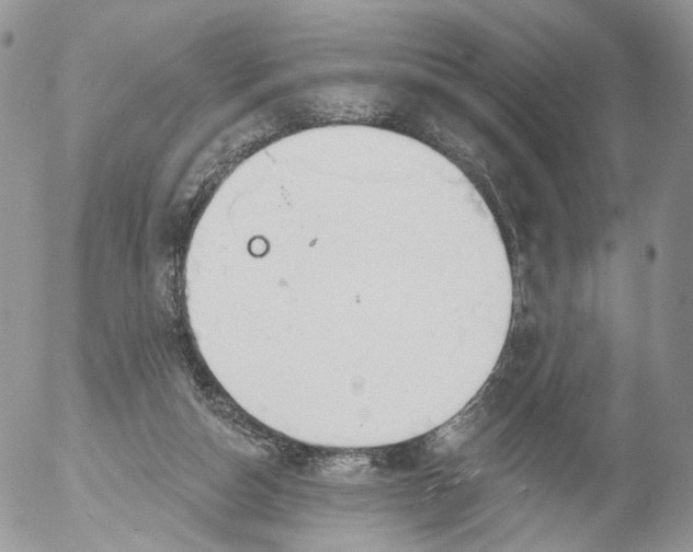 X0000053120162200508012200