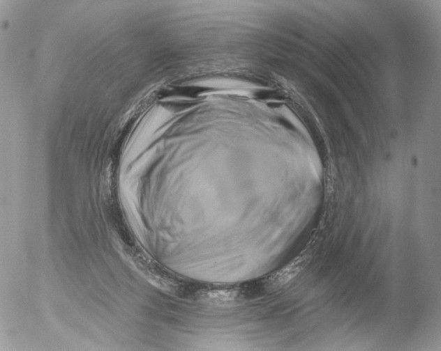 X0000053120163200508012201