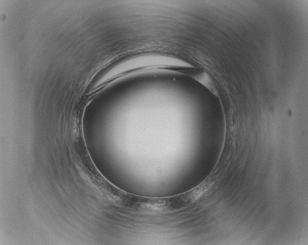 X0000053120164200508012201