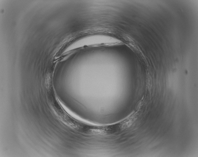 X0000053120167200508012201