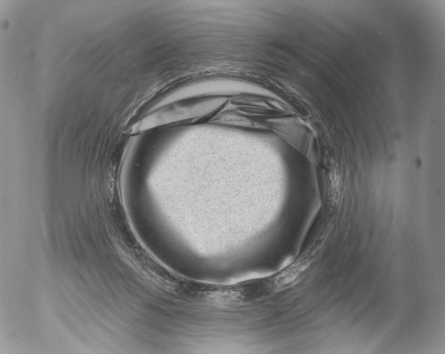 X0000053120168200508012201