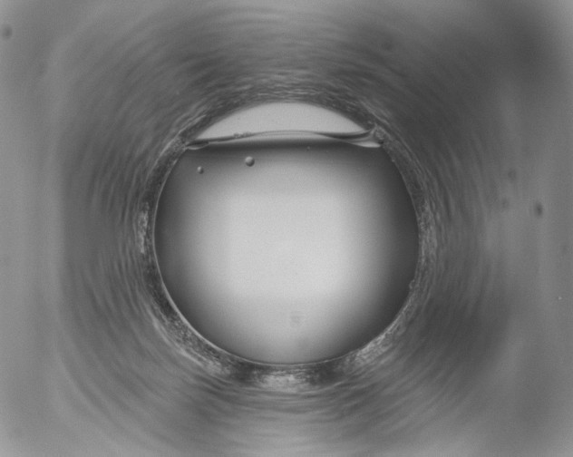 X0000053120171200508012201