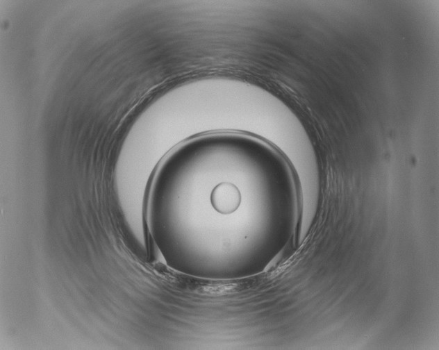 X0000053120172200508012201