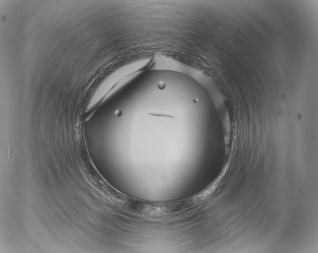 X0000053120174200508012201