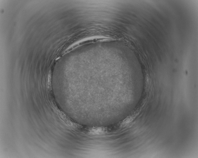 X0000053120177200508012201