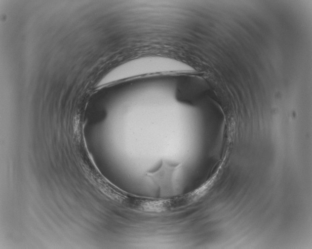 X0000053120178200508012201