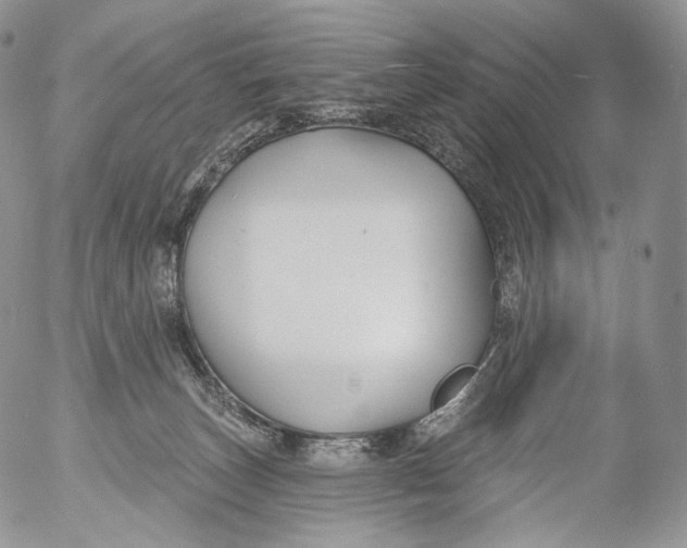 X0000053120179200508012201