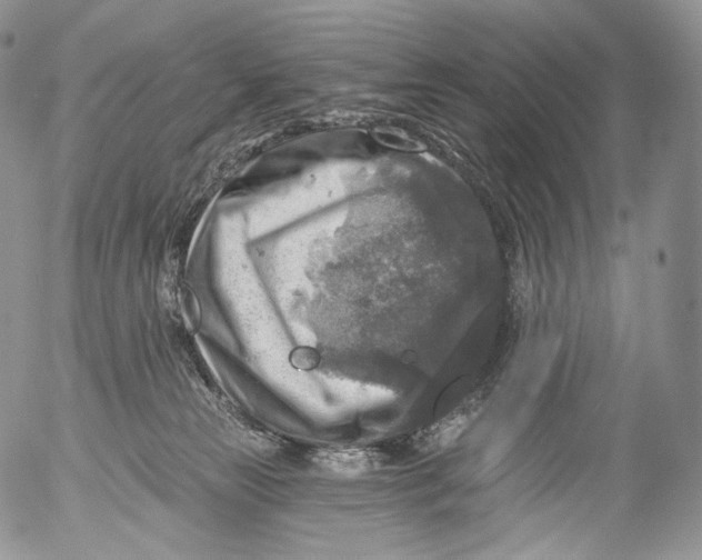 X0000053120181200508012201