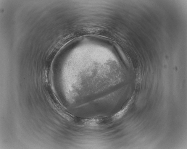 X0000053120182200508012201