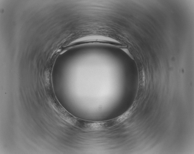 X0000053120184200508012201