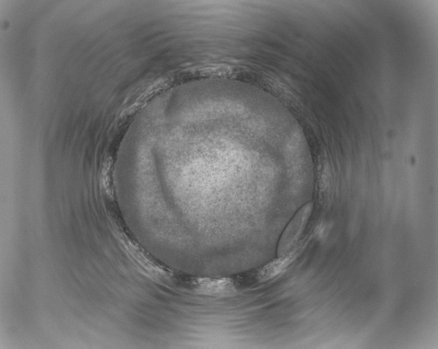 X0000053120185200508012201