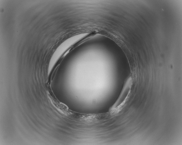 X0000053120186200508012201