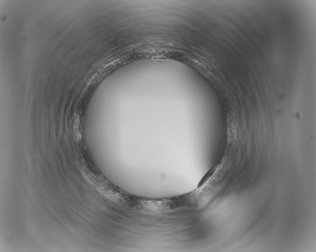 X0000053120187200508012201