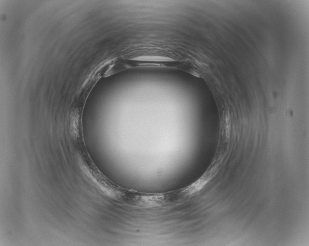 X0000053120188200508012201