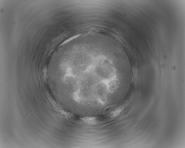 X0000053120189200508012201