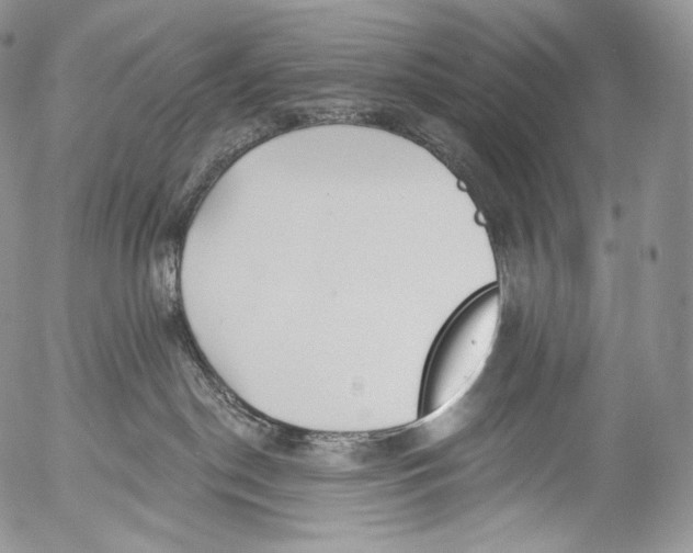 X0000053120190200508012201