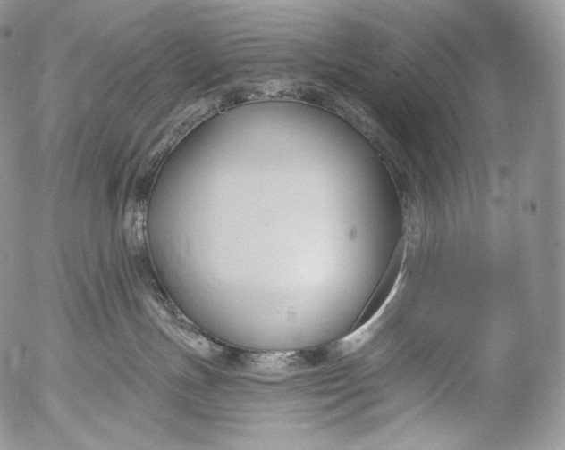 X0000053120191200508012201