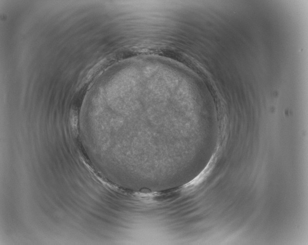 X0000053120192200508012201