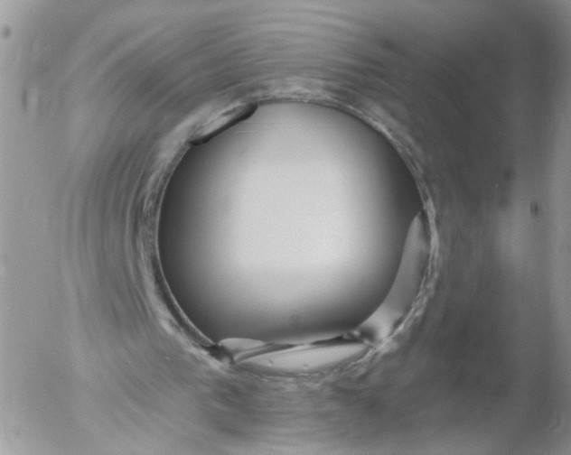 X0000053120193200508012200