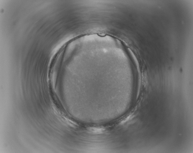 X0000053120196200508012200