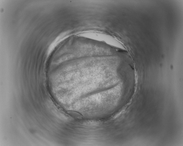 X0000053120198200508012200