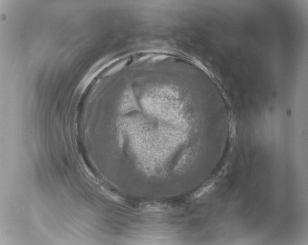 X0000053120199200508012200