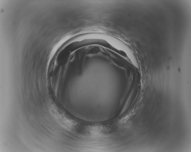 X0000053120200200508012200