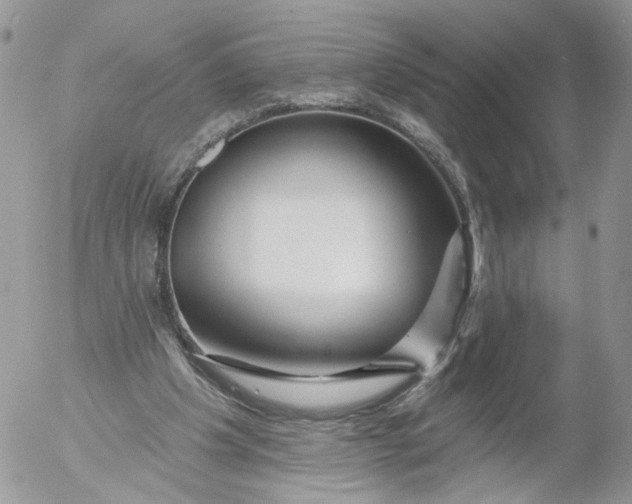 X0000053120201200508012200