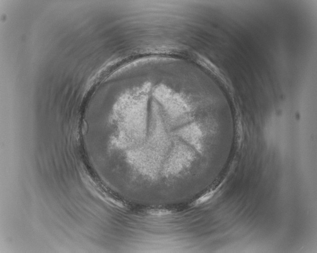 X0000053120203200508012200