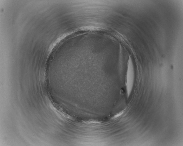 X0000053120204200508012200