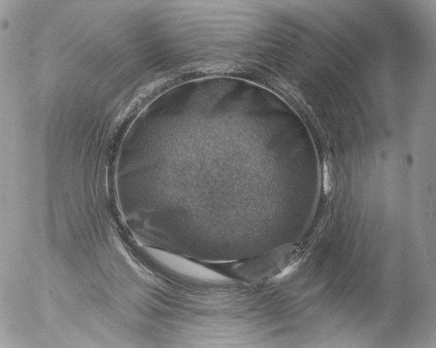 X0000053120205200508012200