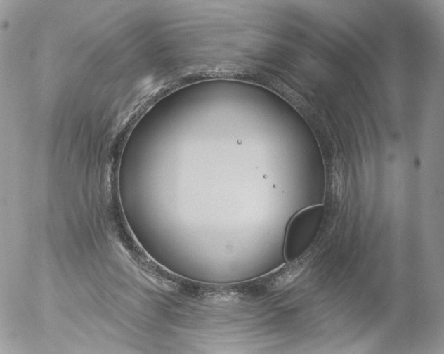 X0000053120206200508012200