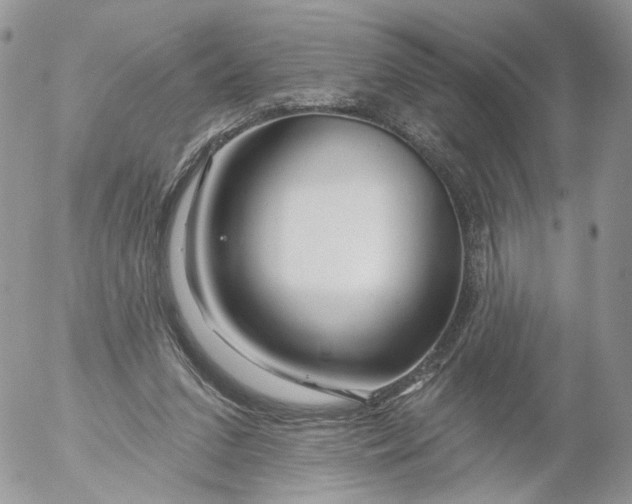 X0000053120207200508012200