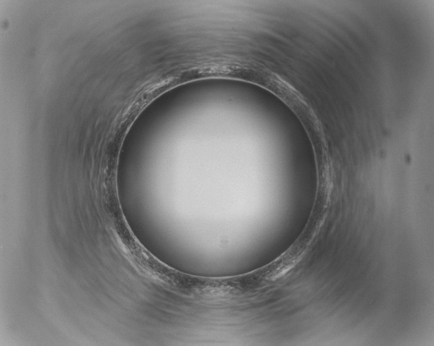 X0000053120209200508012200