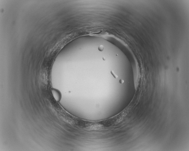 X0000053120210200508012200