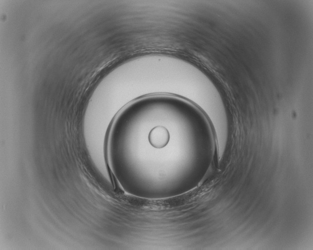 X0000053120211200508012200