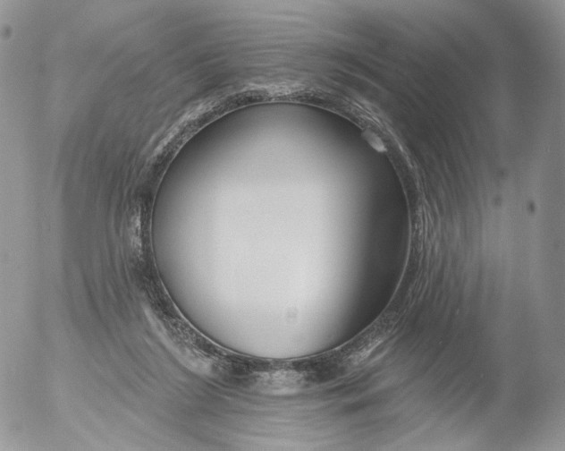 X0000053120212200508012200