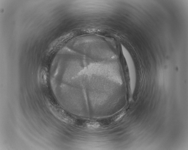 X0000053120214200508012200