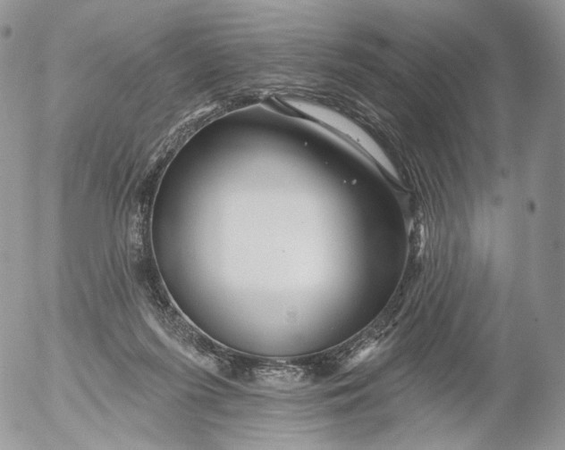 X0000053120215200508012200